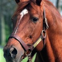 What Happened on June 9th - Secretariat and the Triple Crown