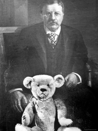 teddy roosevelt killed bear