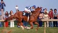 A 1970s Time Capsule from #AtoZChallenge – T is for Triple Crown for Secretariat