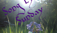 Song Lyric Sunday – Two From A Star Is Born